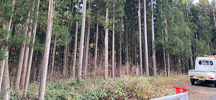 イーエステート|高山市土地