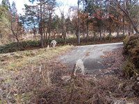 売地　飛騨市古川町新栄町13-5