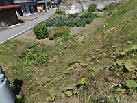 売地　飛騨市古川町宮城町678-1