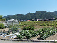 売地　飛騨市古川町宮城町678-1